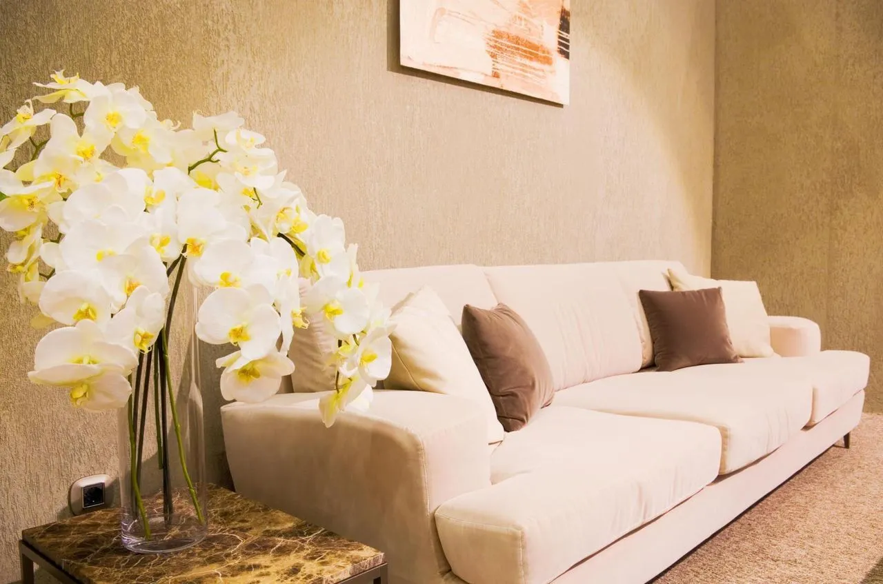 Professional upholstery cleaning in Soquel, CA